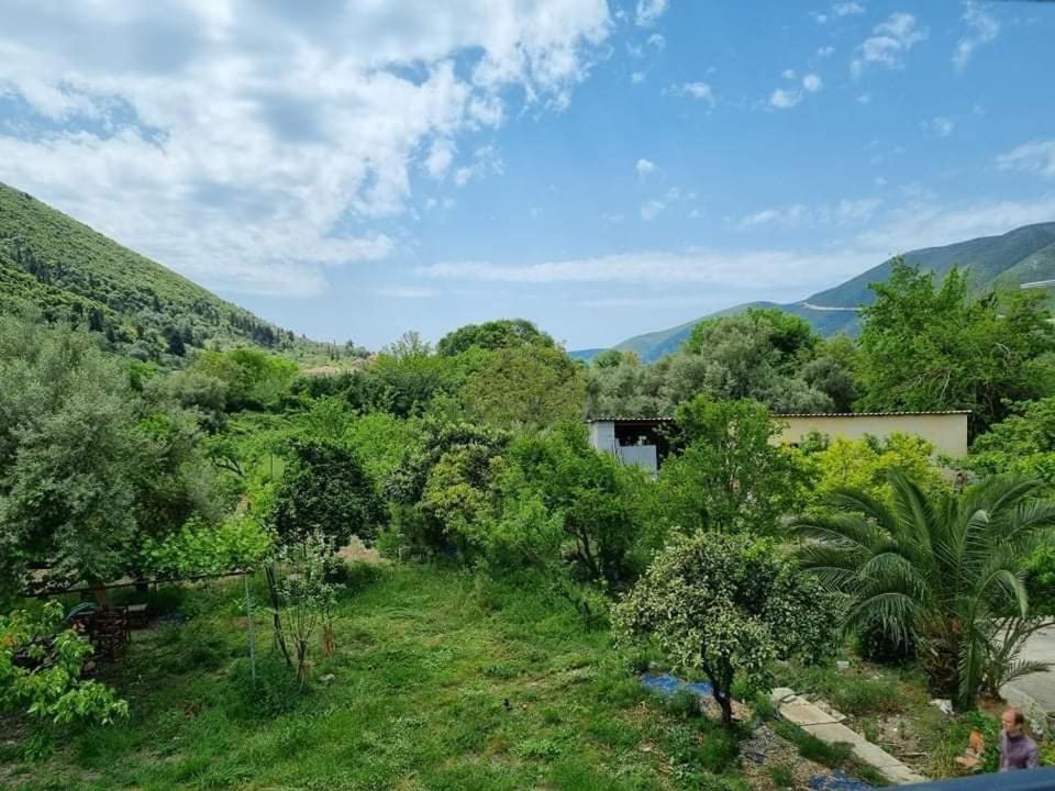 Chris Apartment Vasiliki  Exterior photo